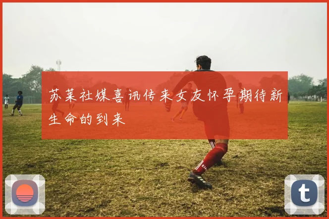 苏莱社媒喜讯传来女友怀孕期待新生命的到来